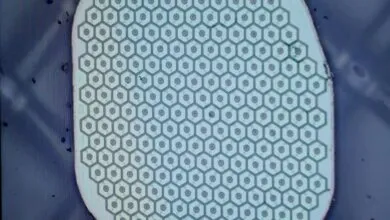 Close-up of a patterned surface with repeating hexagonal cells and central dots.