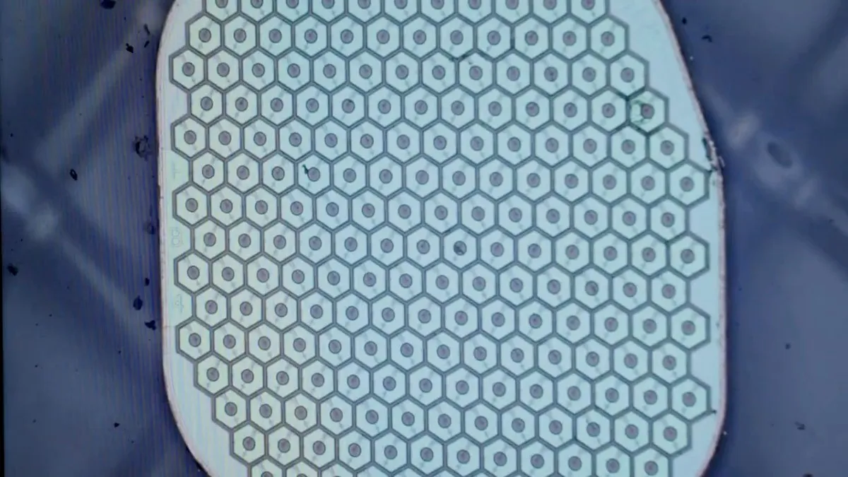 Close-up of a patterned surface with repeating hexagonal cells and central dots.