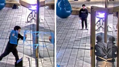 Daniel Moreno-Gama Charged for Attacks on Sam Altman, OpenAI