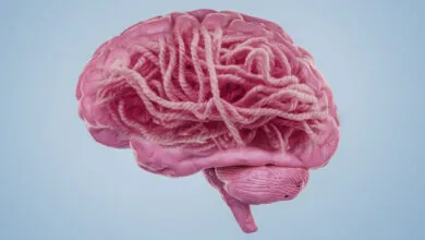 Pink brain with yarn tangled inside, symbolizing mental complexity.