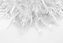 Intricate white paper cut art resembling coral or frost patterns.