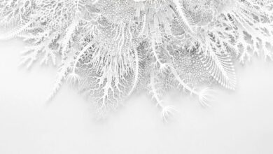 The Download: Jeff VanderMeer’s Exclusive Story and Unreleased AI Models