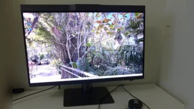 Computer monitor displaying a lush tropical garden scene.