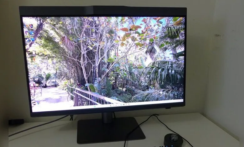 Computer monitor displaying a lush tropical garden scene.