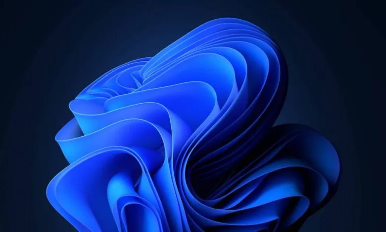 Abstract blue floral design on dark background, Windows 11 wallpaper.