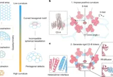 Diagram showing the process of generating curved protein assemblies from hexagonal arrays to dodecahedrons.