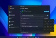 Windows 11 settings showing Windows Update is up to date with pause updates option.