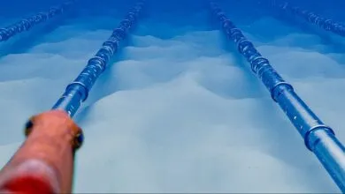 Underwater cables stretch across the seabed, with a curious fish in the foreground.
