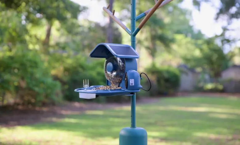 Blue bird feeder with seeds and a solar panel on a green lawn.