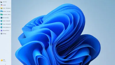 Windows 11 desktop with blue abstract wallpaper and left-side menu.