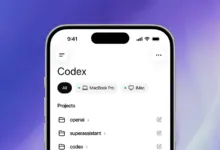 Close-up of a smartphone screen displaying the Codex app interface.