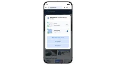 Smartphone displaying website location permission options: Precise or Approximate.