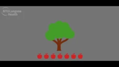 Cartoon tree with green leaves and seven red apples at the base.