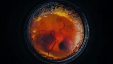 Close-up view of a developing embryo inside a dark, circular frame.
