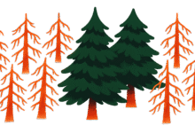 Illustration of green and orange trees against a green background.