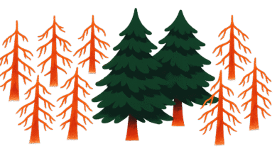 Illustration of green and orange trees against a green background.