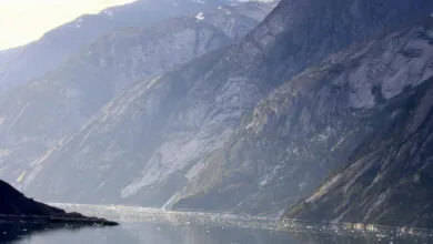 Alaskan fjord with steep mountains and ice floes in the water.