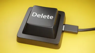 Fired Twin Brothers Wipe 96 Government Databases in Minutes