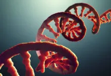 3D rendering of a red mRNA strand against a teal background.