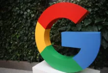Large Google logo against a green leafy wall.