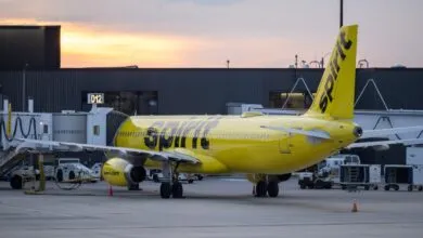TikToker rallies pledges to buy Spirit Airlines after its sudden collapse