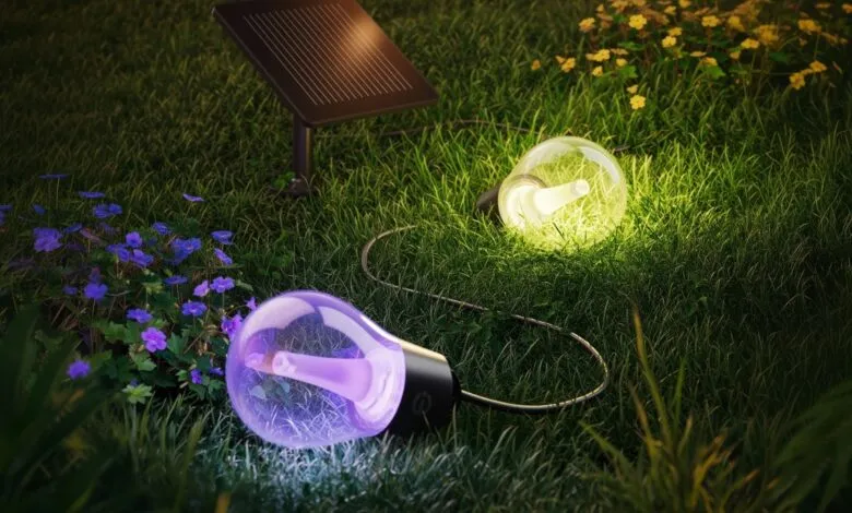 Solar string lights with purple and yellow bulbs illuminate a grassy garden.