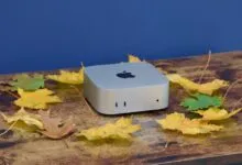 Apple Mac Mini computer surrounded by colorful autumn leaves.