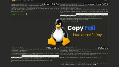 Linux kernel 0-day vulnerability demo with Tux penguin mascot and terminal outputs.