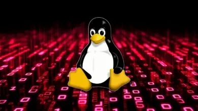 Tux the Linux penguin mascot sitting against a binary code background.