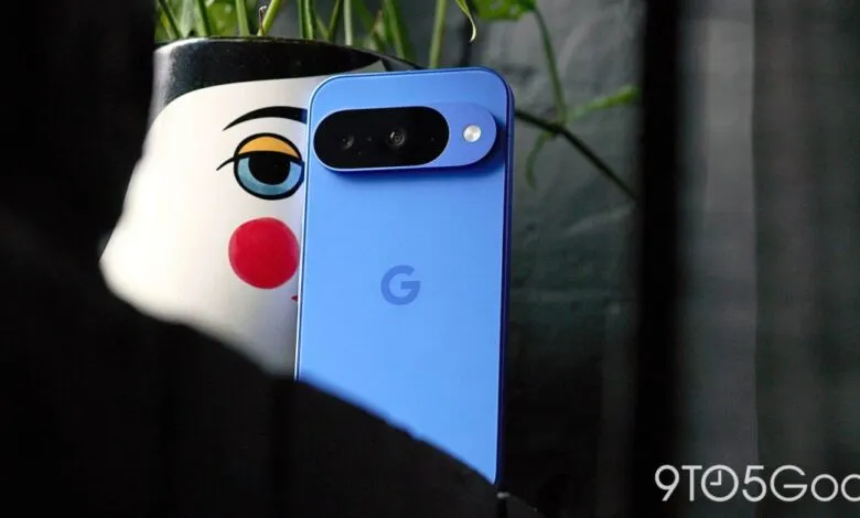 Blue Google Pixel phone with dual camera, next to a clown-faced planter.