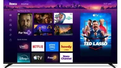 Roku TV home screen with streaming apps and 'Ted Lasso' featured.
