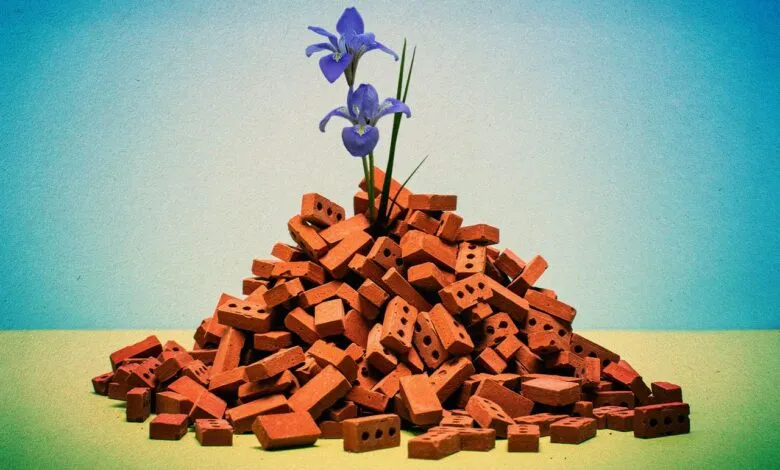 Pile of bricks with two purple iris flowers growing from the top.