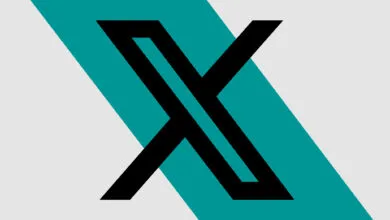 Stylized letter X logo in black on teal and gray background.