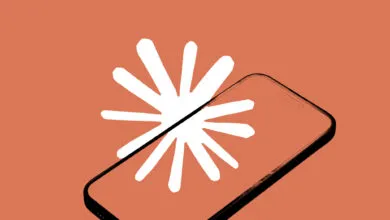 Phone screen displays white starburst on terracotta background.