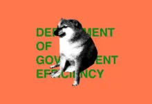 Doge meme with 'Department of Government Efficiency' text.