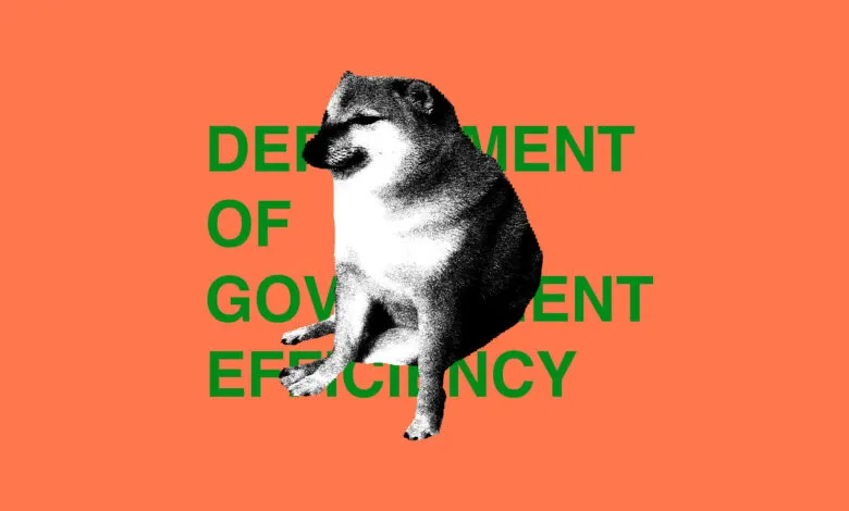 Doge meme with 'Department of Government Efficiency' text.