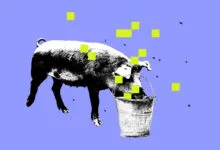 Monochrome pig eating from bucket with yellow squares on blue background.