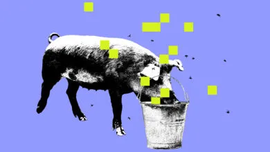 Monochrome pig eating from bucket with yellow squares on blue background.