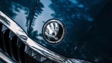 Close-up of a Skoda car hood with the chrome Skoda logo.