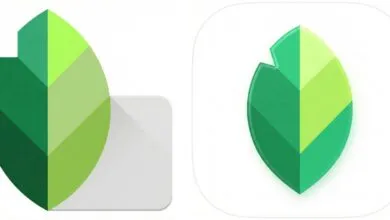 Google releases major Snapseed 4.0 update for Android