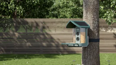 Smart bird feeder with solar panel attached to tree in backyard.