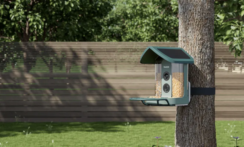 Smart bird feeder with solar panel attached to tree in backyard.