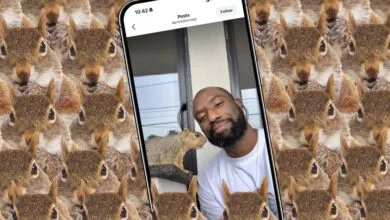 Instagram post of Derrick Downey Jr. taking a selfie with a squirrel, squirrel background.