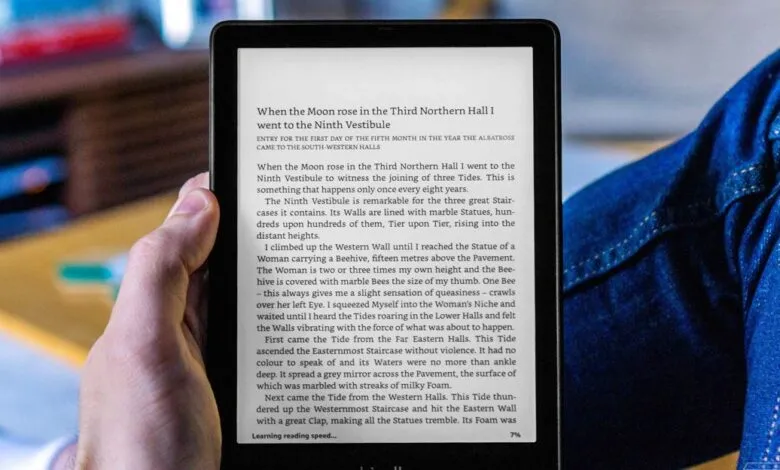 Person holds e-reader displaying text from a book, close-up view.