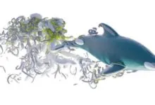 3D rendering of a dolphin swimming through swirling water currents.