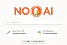 DuckDuckGo search engine interface with 'NO AI' branding and options to disable AI features.