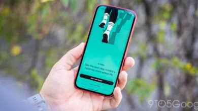 Fitbit app on phone screen showing 'Sign in with Google' option.