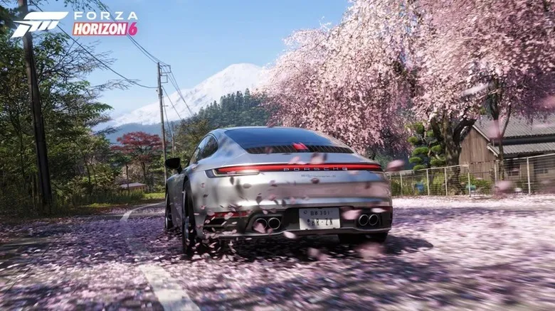 Silver Porsche Carrera S driving on road covered in cherry blossom petals.