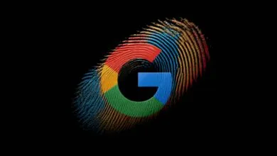Google logo rendered as a colorful fingerprint on black background.