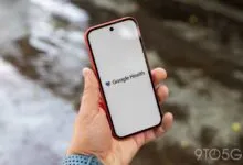 Person holds phone displaying the Google Health logo against blurred background.